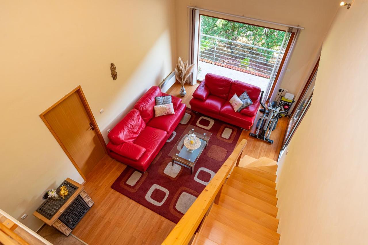 Apartments Maris Novigrad  Екстер'єр фото