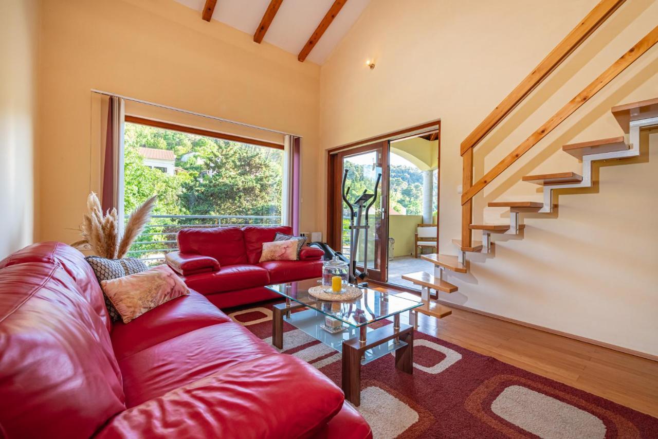 Apartments Maris Novigrad  Екстер'єр фото