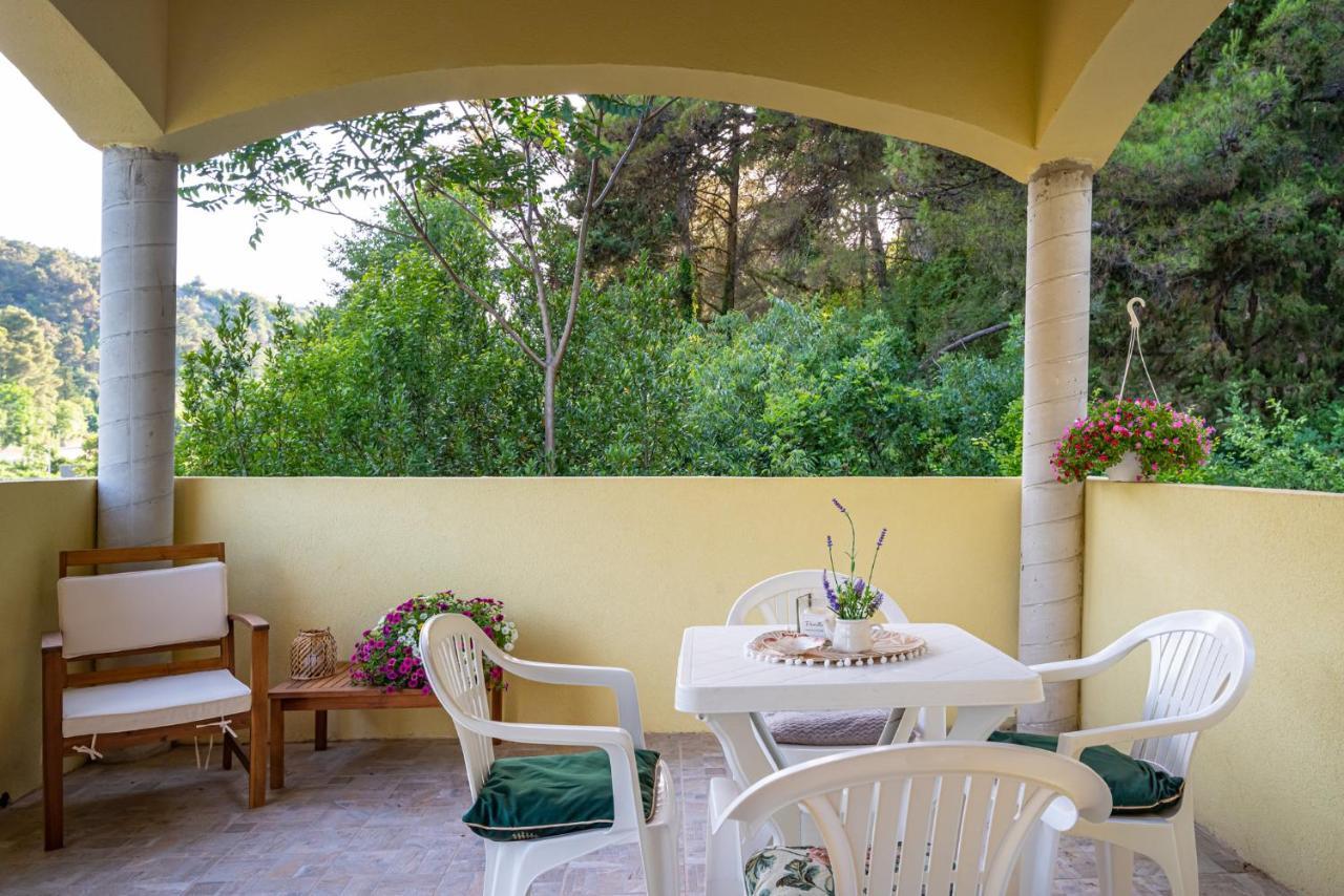 Apartments Maris Novigrad  Екстер'єр фото