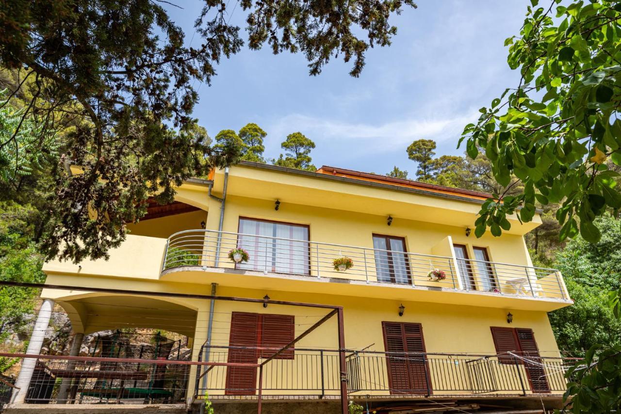 Apartments Maris Novigrad  Екстер'єр фото