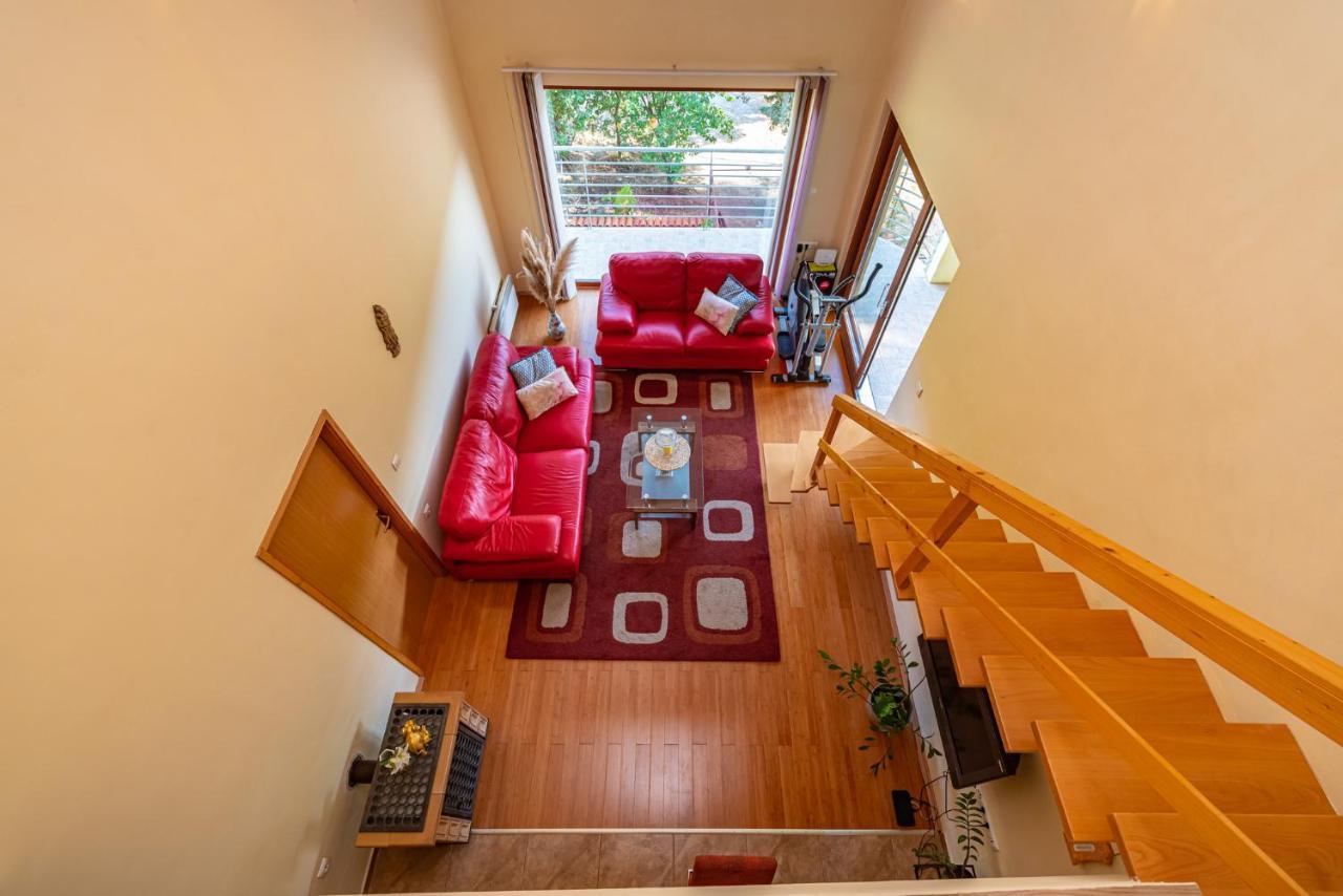 Apartments Maris Novigrad  Екстер'єр фото