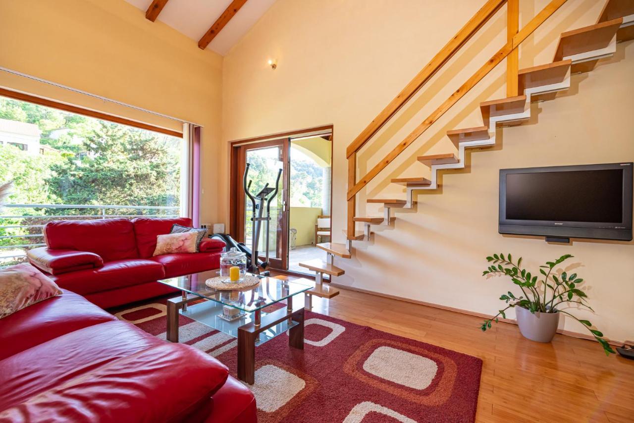 Apartments Maris Novigrad  Екстер'єр фото